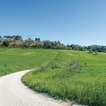 Strada dei Condotti Pesaro Esterno foto