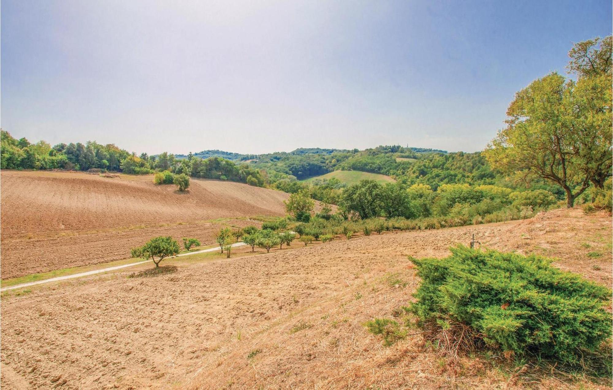 Strada dei Condotti Pesaro Esterno foto