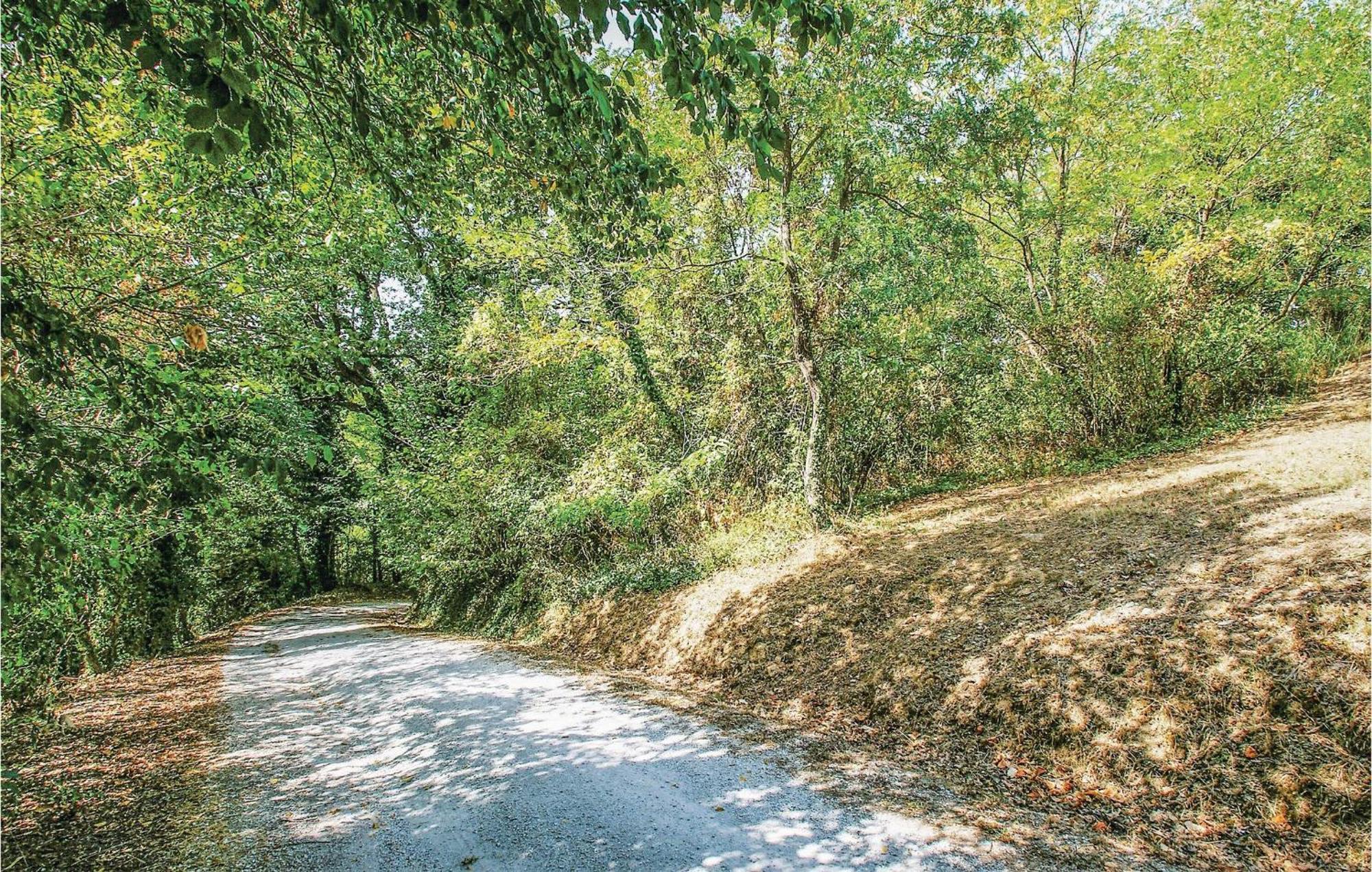 Strada dei Condotti Pesaro Esterno foto